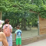 Cristallo * Линьяно-Саббьядоро