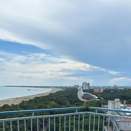 Cristallo Appartamento *